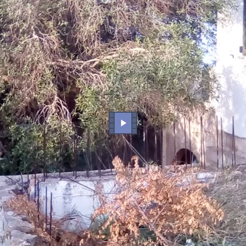 Paxoi Residences for Sale Video 1